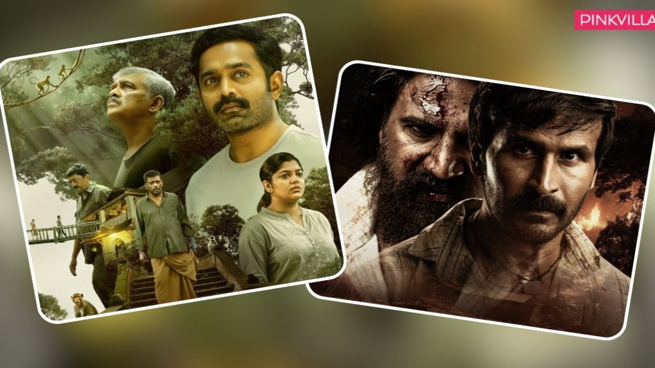 3 South movies releasing this week on Disney+ Hotstar: Kobali, Kishkindha Kaandam and…