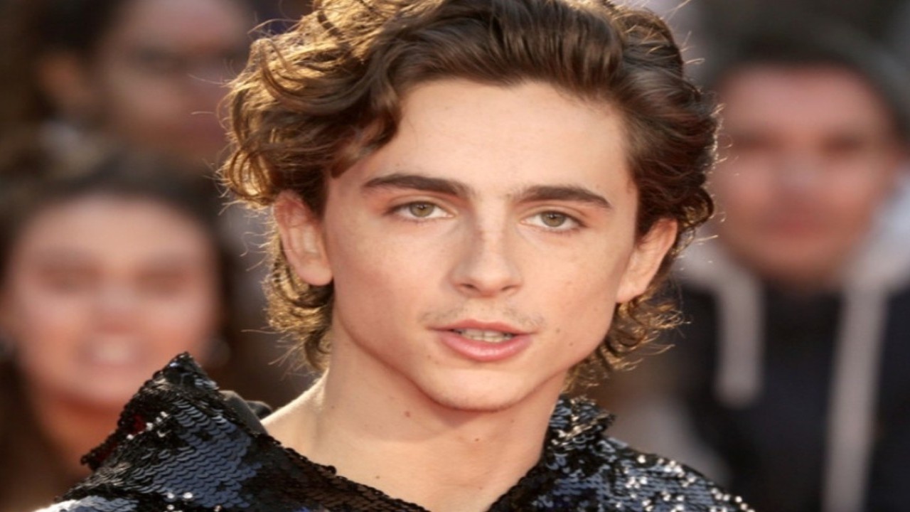 Timothée Chalamet Points Out THIS Subtle Link Between Bob Dylan and Dune: 'Be Wary of...'