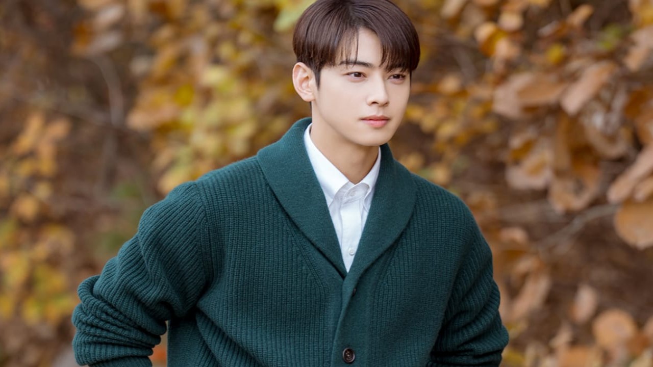 Cha Eun Woo: Courtesy of MBC