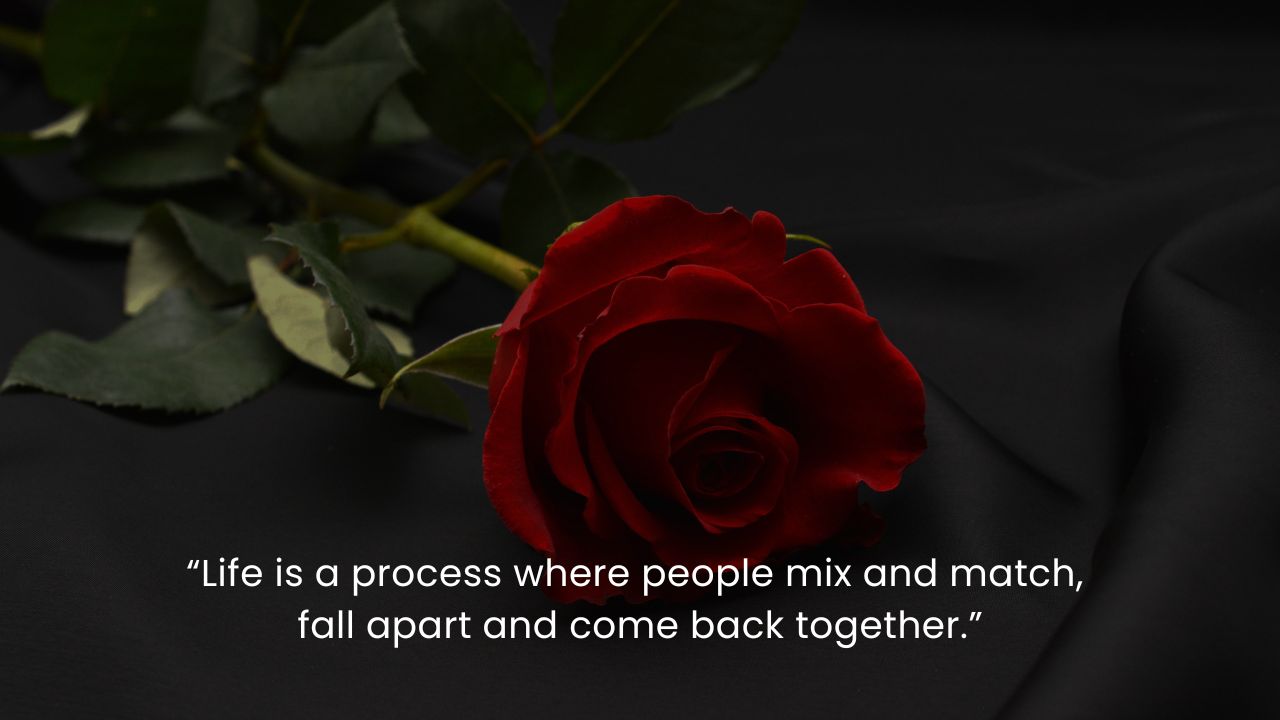 Quotes to get back together