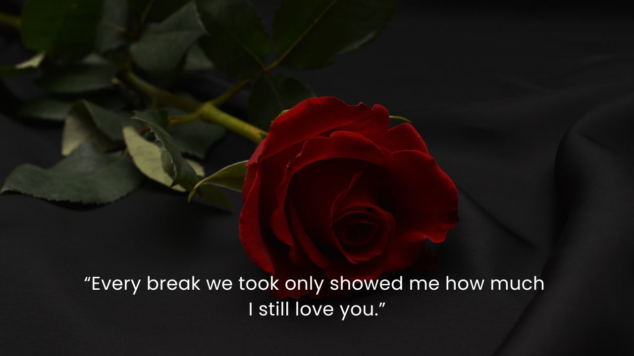 Quotes about getting back together with your true love