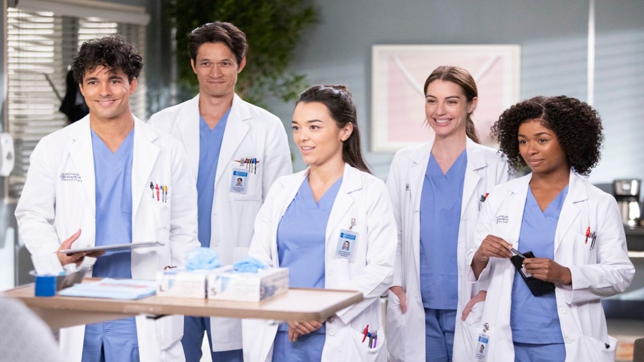 Grey's Anatomy Season 21 Mid-Season Release Schedule: Date, Where to Watch, What to Expect And More