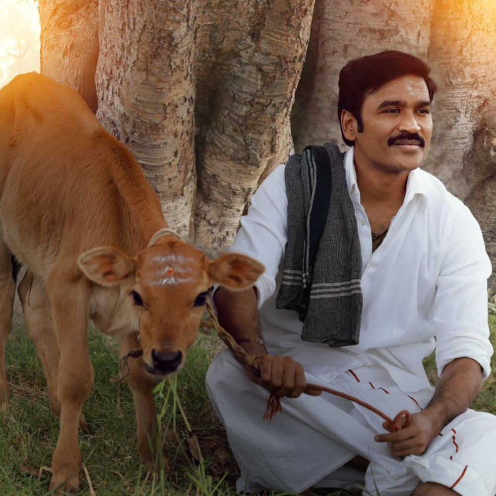 Idly Kadai: Dhanush’s fourth directorial postponed from April 2025 release, producer CONFIRMS