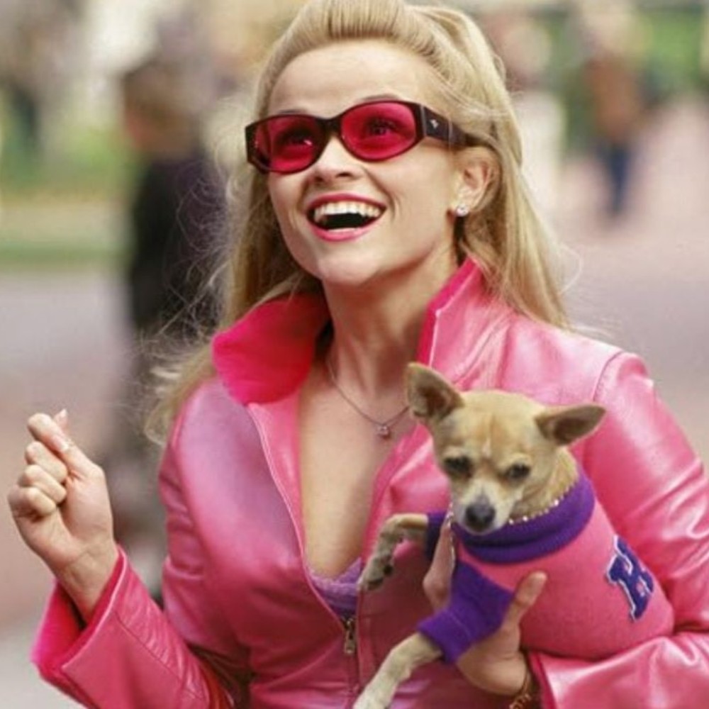 Reese Witherspoon Turns 49: Revisiting the box office success of her most iconic film, Legally Blonde