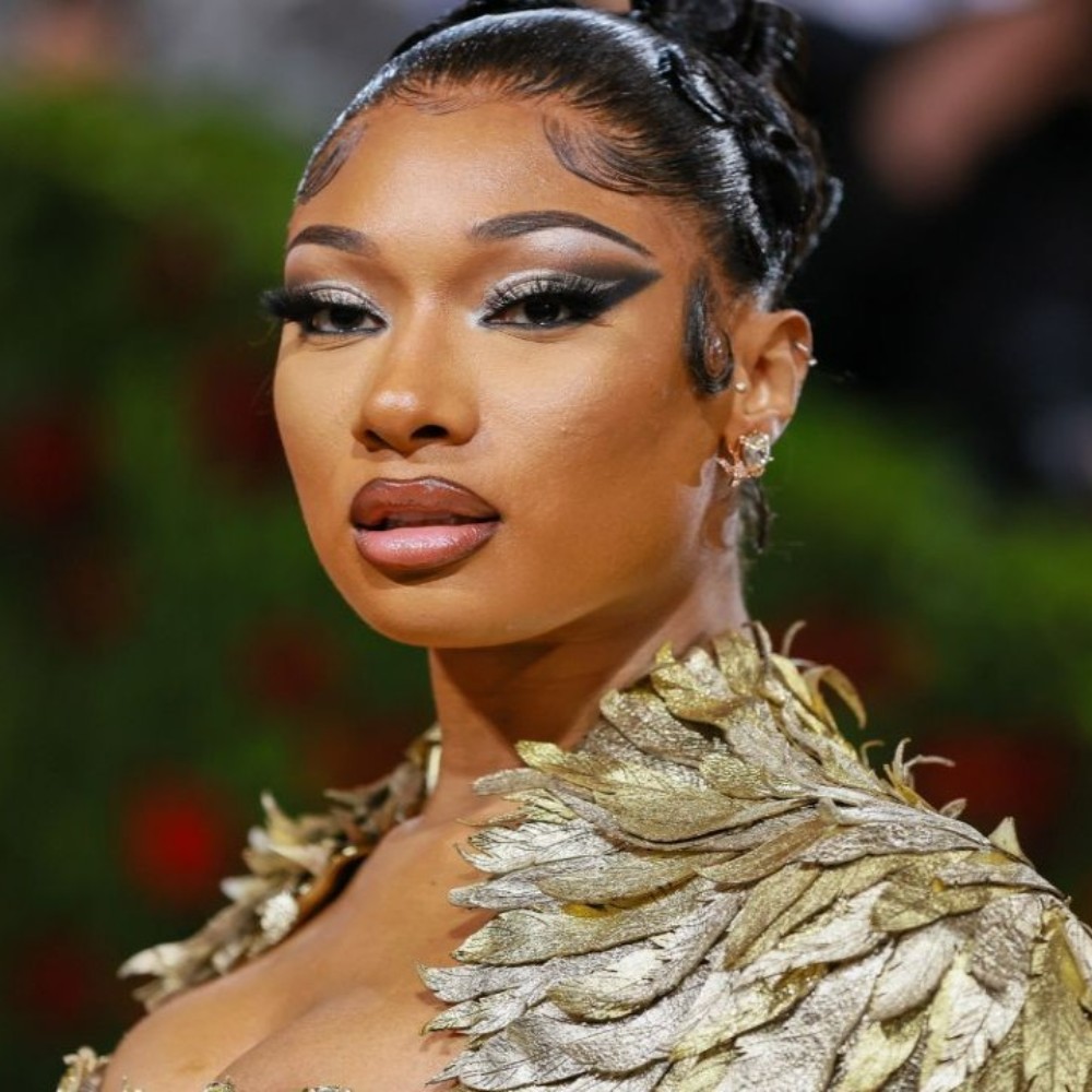 Megan Thee Stallion Teases 'Dream' Collab With THIS Grammy Winner on Her Upcoming Album: 'That's on My List'