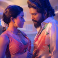 Pushpa 2 Hindi Box Office Collections Opening Day: Allu Arjun and Rashmika Mandanna's film sets ALL TIME RECORD; earns Rs 66 crore on Day 1