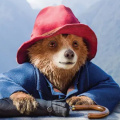 Box Office: Paddington in Peru approaches USD 200M globally, proves franchise’s lasting appeal