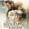 Sanam Teri Kasam Re-Release Day 15 India Box Office: Harshvardhan-Mawra's Romantic Saga Adds ₹25 Lakh on 3rd Friday  