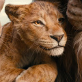 Mufasa Day 10 India Box Office: Shah Rukh Khan, Mahesh Babu-voiced The Lion King movie had an extraordinary 2nd weekend; on course to Rs 125 crore plus net closing