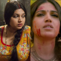 Box Office: Top 5 HIGHEST GROSSING Bhumi Pednekar films in 10 years of her debut