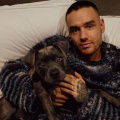 Liam Payne Death: What Were Ex-Fiancee Maya Henry's Recent Allegations Against Former One Direction Star About? Explained