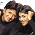 4 Riteish Deshmukh and Genelia D'Souza movies on OTT that will make you believe in love