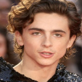 Timothée Chalamet Leaves Fans in Splits With Hilarious Entry to the Premiere of Bob Dylan Biopic; See Here