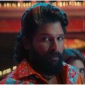 Pushpa 2 (Hindi) Day 19 Box Office: Allu Arjun's movie keeps strong momentum ahead of Christmas; Nets Rs 10 crore