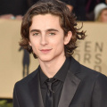  Box Office: Analysing Timothée Chalamet's top 5 highest grossing movies worldwide; DUNE 2 LEADS 