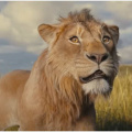 Mufasa The Lion King Day 27 India Box Office: Shah Rukh Khan and Mahesh Babu voiced movie emerges Super-Hit; eyeing Rs 125 crore finish