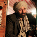 7 Sunny Deol's Highest Grossing Movies Worldwide, Gadar 2 leads 