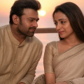 Imagine Prabhas and Trisha Krishnan in a romantic poster amid reports of the actress playing the lead in Sandeep Vanga's Spirit