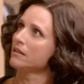 Julia Louis Dreyfus Claims She'd Want To Be Involved In Kamala Harris' Campaign Amid Ongoing Presidential Elections