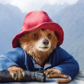 Box Office: Paddington in Peru Sets Midweek Franchise Record as It Holds Strong Amid Competition 