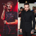 Liam Payne's Remembered By One Direction Bandmate Louis Tomlinson In Heartfelt Tribute After Tragic Death: 'I Lost A Brother'