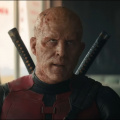 Ryan Reynolds Gushes About Deadpool & Wolverine Co-Star Hugh Jackman's 'Sheer Relentlessness' towards His 'Stunts'