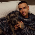 Did Liam Payne Regret His Controversial Comments About One Direction Bandmates? All We Know Amid His Tragic Passing At 31 