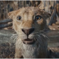 Mufasa Day 14 India Box Office: SRK and Mahesh Babu voiced Lion King movie shows long legs; Nets Rs 4 crore on 2nd Thursday