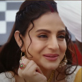 Gadar 2: Ameesha Patel reveals movie's climax was changed without her knowledge; says director Anil Sharma 'feels bad now'