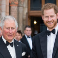 Did King Charles And Prince William Wish Prince Harry On His 40th Birthday Amid Ongoing Rift? Find Out Here