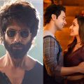 The 200 Crore Box Office Club: From 3 Idiots, Kabir Singh to Stree 2, 30 Bollywood movies that smashed this coveted milestone