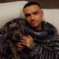 Police Find Liam Payne's Hotel Room in Disarray After His Tragic Death; Here's What We Know About the Situation So Far