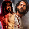 Top 5 Biggest Grossers of Shahid Kapoor at the Box Office; from Padmaavat to Udta Punjab