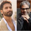 Box Office: Why is the success of Arjun Ustara important for Shahid Kapoor and Vishal Bharadwaj?