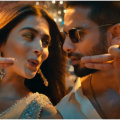 Deva Day 2 Box Office Trends: Shahid Kapoor's film looks to show very little growth after dull start