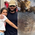 Mufasa promo: Sitara Ghattamaneni relates dad Mahesh Babu to The Lion King character: 'Loving, protective...'