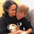 Throwback: When Meghan Markle Let Her Beagle Dog Ride with Queen Elizabeth Winning The Internet's Heart; READ