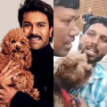 WATCH: Ram Charan's fans forcefully grab pet dog Rhyme from caretaker to click photos; netizens react 