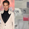 What Is Pink Cocaine? Here's All About Deadly Substance Allegedly Found In Late 1D Star Liam Payne's System