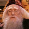 Dumbledore Actor Richard Harris' Son Questions Necessity Of Harry Potter Series Reboot: 'Leave Them Alone'