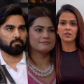 Bigg Boss OTT 3, July 28: Armaan Malik-Kritika Malik react to Payal Malik's separation announcement; here's what they say