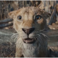 Mufasa India Day 20 Box Office: Shah Rukh Khan and Mahesh Babu voiced Lion King prequel nets Rs 1.15 crore on third Wednesday