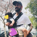 Virat Kohli gets irked as Australian media tries to click his and Anushka Sharma's kids without permission; 'You can't film without asking me'