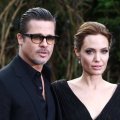 ‘Harming The Entire Family’: Brad Pitt Source Blasts Angelina Jolie's 'Never-Ending Attacks' In Winery Dispute