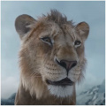 Mufasa The Lion King Day 6 India Box Office: Shah Rukh Khan and Mahesh Babu voiced Disney epic nets an exceptional Rs 12 crore on Christmas day