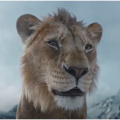 Mufasa Day 13 India Box Office: SRK-Mahesh Babu voiced Lion King movie enjoys dream run; Crosses Rs 100 crore net