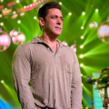 Salman Khan and Vishnuvardhan's The Bull put on hold by Karan Johar? Here's what we know