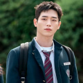 Seo Kang Joon and Jin Ki Joo's Undercover High School Release: Date, time, where to watch on OTT, plot and more