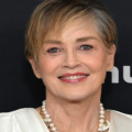 ‘Nobody Did Anything To Me’: Sharon Stone Updates Her Fans Over Getting Black-Eyed In Hotel Room