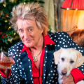 Rod Stewart Cancels More Shows After Contracting COVID-19: 'Most people can work with strep throat, but obviously not me'